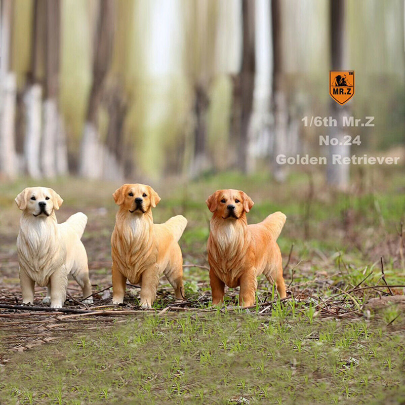 Mr.Z 1/6 Golden Retriever Loyal Dog Pet Figure Animal Decor Model Toy Education Figures Collector Decoration Kid Gift