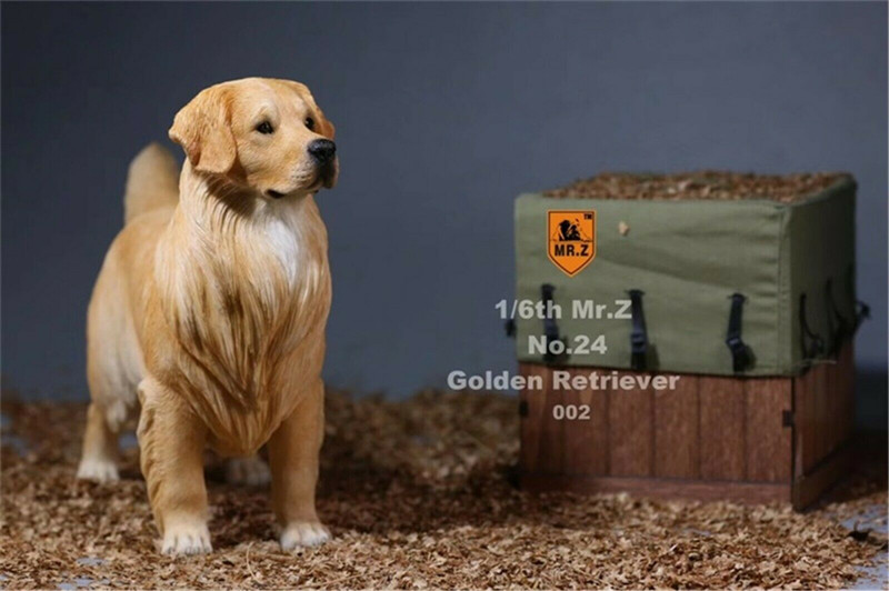 Mr.Z 1/6 Golden Retriever Loyal Dog Pet Figure Animal Decor Model Toy Education Figures Collector Decoration Kid Gift