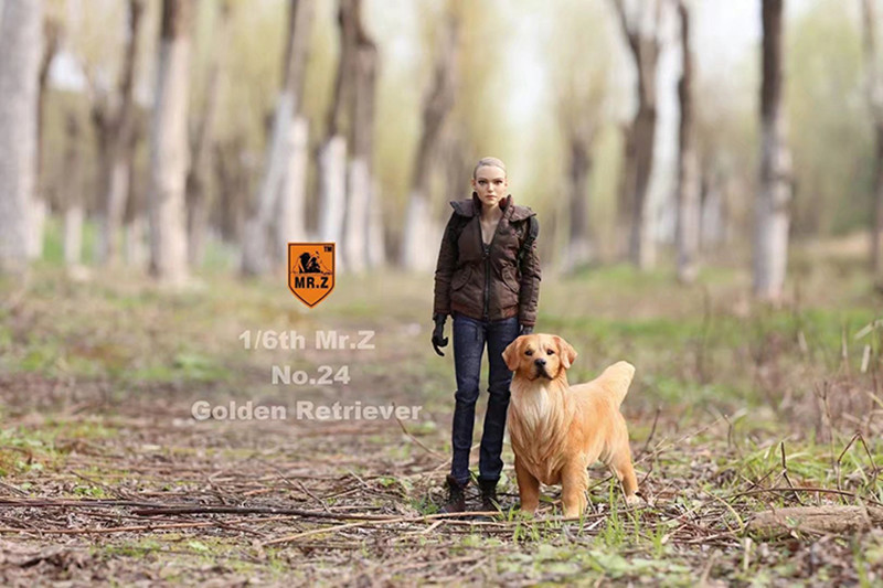 Mr.Z 1/6 Golden Retriever Loyal Dog Pet Figure Animal Decor Model Toy Education Figures Collector Decoration Kid Gift