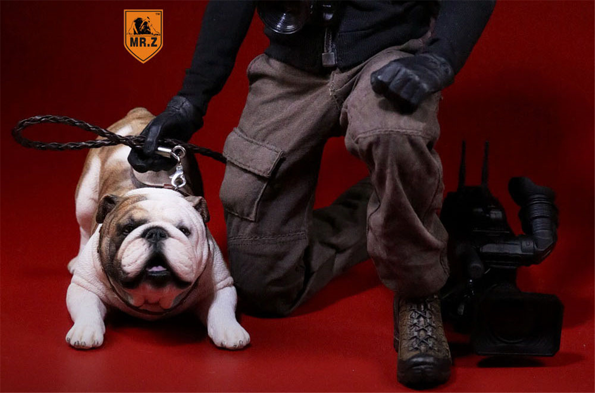 Mr.Z 1/6 2Pcs British Bulldog Couple Bull Dog Pet Healing Figure Animal Model Toy Collector Desktop Decoration Adult Gift