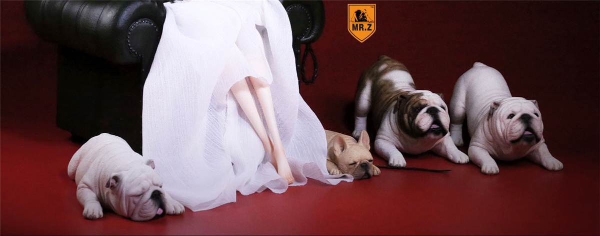 Mr.Z 1/6 2Pcs British Bulldog Couple Bull Dog Pet Healing Figure Animal Model Toy Collector Desktop Decoration Adult Gift