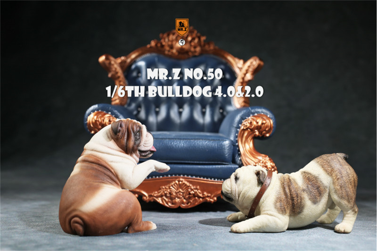Mr.Z Studio 1:6 British Bulldog V4.0 Dog Pet Healing Figure Canidae Animal Model Toy Collector Desktop Decor Adult Unisex Gift