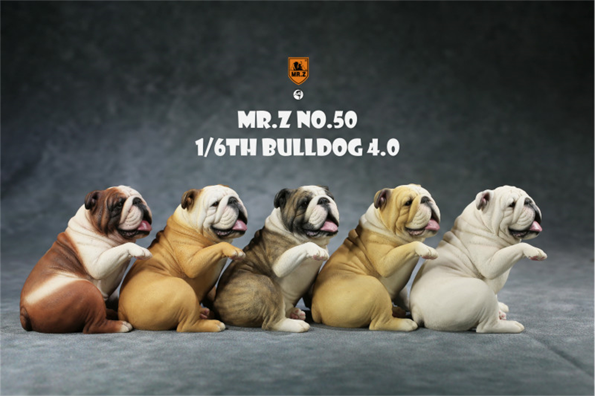 Mr.Z Studio 1:6 British Bulldog V4.0 Dog Pet Healing Figure Canidae Animal Model Toy Collector Desktop Decor Adult Unisex Gift
