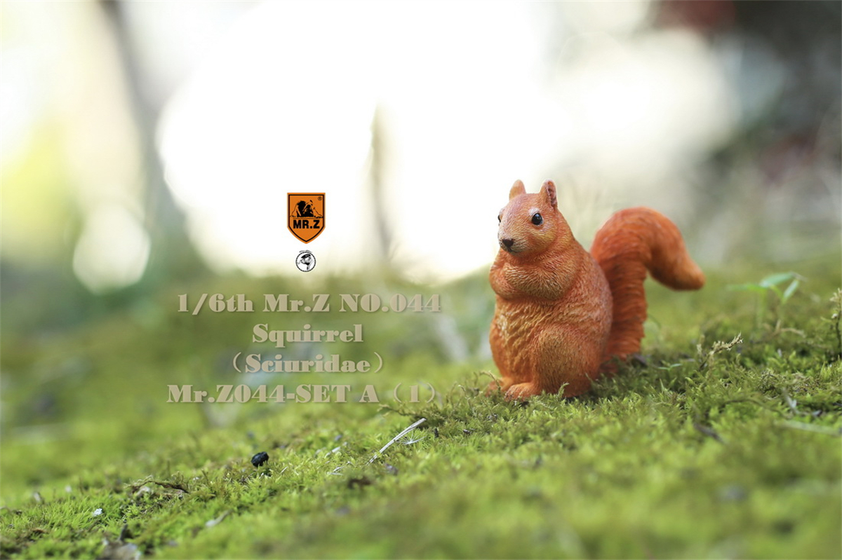 Mr.Z Studio 1:6 3Pcs Squirrel Pet Figure Sciuridae Animal Collector Model Toy Kid Gift Resin Ornaments Healing Small Jewelry Mr.Z Studio 1:6 3Pcs Squirrel Pet Figure Sciuridae Animal Collector Model Toy Kid Gift Resin Ornaments Healing Small Jewelry