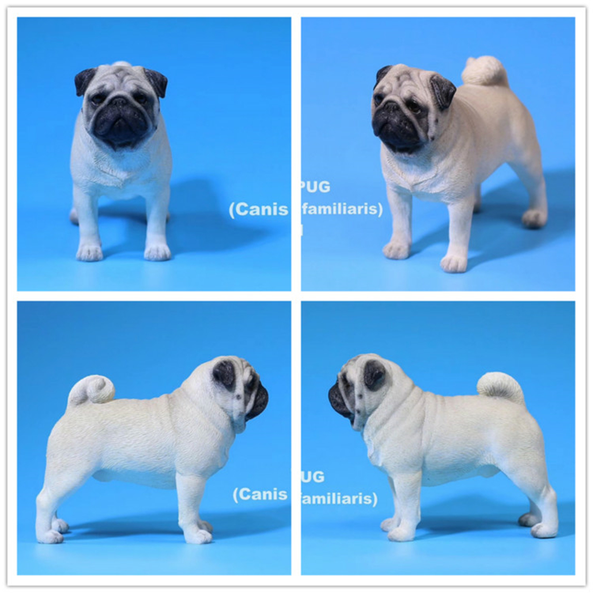 Mr.Z Studio 1:6 Pug Dog Pet Healing Figure Canidae Animal Model Toy Collector Desktop Decor Adult Simulation Pet Gift Collection Mr.Z Studio 1:6 Pug Dog Pet Healing Figure Canidae Animal Model Toy Collector Desktop Decor Adult Simulation Pet Gift Collection