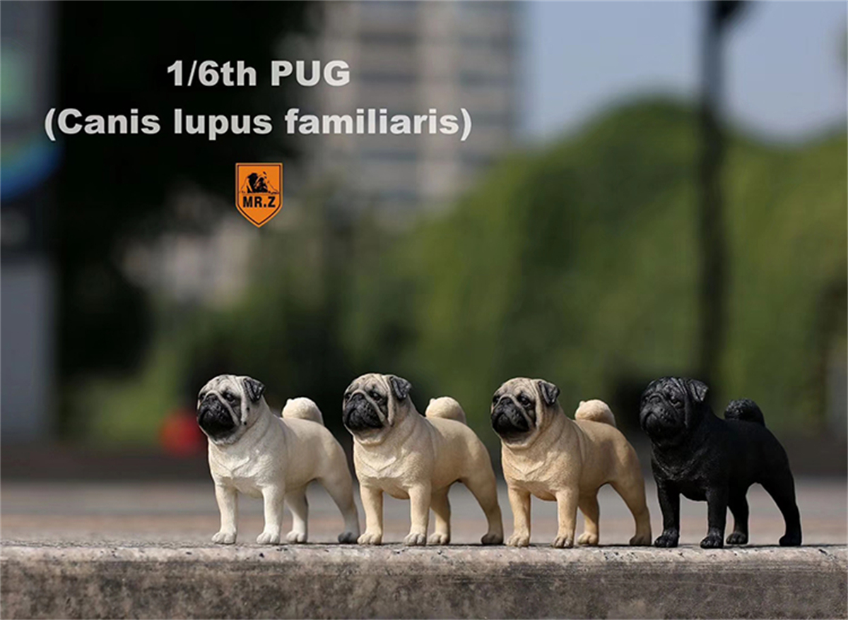 Mr.Z Studio 1:6 Pug Dog Pet Healing Figure Canidae Animal Model Toy Collector Desktop Decor Adult Simulation Pet Gift Collection Mr.Z Studio 1:6 Pug Dog Pet Healing Figure Canidae Animal Model Toy Collector Desktop Decor Adult Simulation Pet Gift Collection