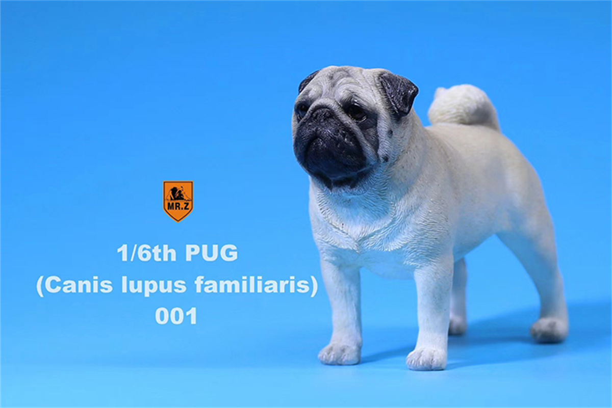 Mr.Z Studio 1:6 Pug Dog Pet Healing Figure Canidae Animal Model Toy Collector Desktop Decor Adult Simulation Pet Gift Collection Mr.Z Studio 1:6 Pug Dog Pet Healing Figure Canidae Animal Model Toy Collector Desktop Decor Adult Simulation Pet Gift Collection