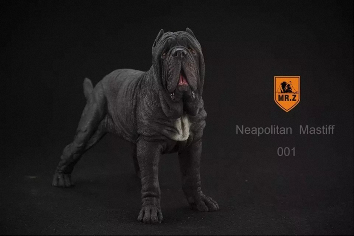 Mr.Z 1:6 Scale Neopolitan Mastiff Neapolitan Mastiff Pet Healing Figure Animal Model Toy Collector Decoration Kid Gift Mr.Z 1:6 Scale Neopolitan Mastiff Neapolitan Mastiff Pet Healing Figure Animal Model Toy Collector Decoration Kid Gift