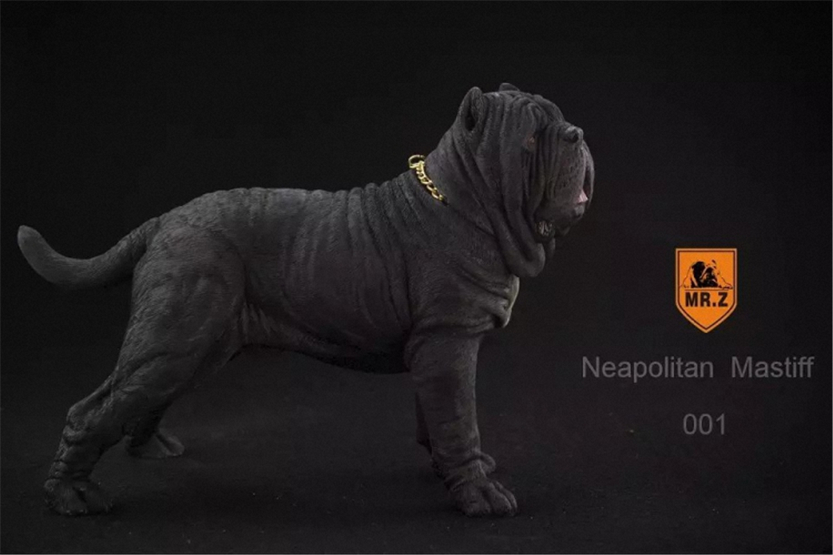 Mr.Z 1:6 Scale Neopolitan Mastiff Neapolitan Mastiff Pet Healing Figure Animal Model Toy Collector Decoration Kid Gift Mr.Z 1:6 Scale Neopolitan Mastiff Neapolitan Mastiff Pet Healing Figure Animal Model Toy Collector Decoration Kid Gift