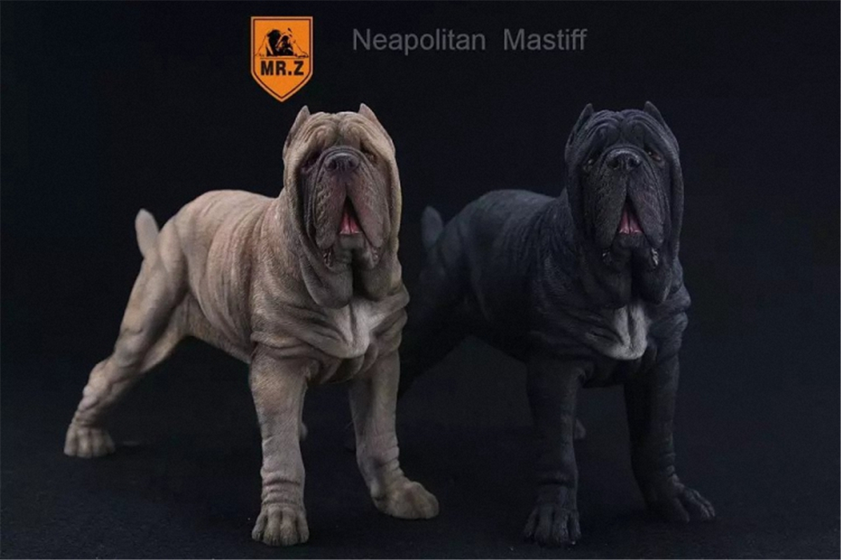 Mr.Z 1:6 Scale Neopolitan Mastiff Neapolitan Mastiff Pet Healing Figure Animal Model Toy Collector Decoration Kid Gift Mr.Z 1:6 Scale Neopolitan Mastiff Neapolitan Mastiff Pet Healing Figure Animal Model Toy Collector Decoration Kid Gift