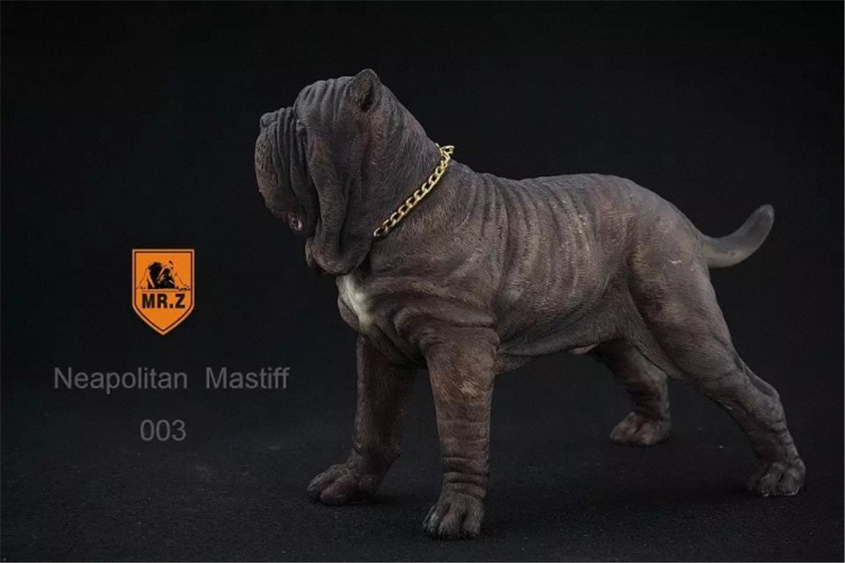 Mr.Z 1:6 Scale Neopolitan Mastiff Neapolitan Mastiff Pet Healing Figure Animal Model Toy Collector Decoration Kid Gift Mr.Z 1:6 Scale Neopolitan Mastiff Neapolitan Mastiff Pet Healing Figure Animal Model Toy Collector Decoration Kid Gift
