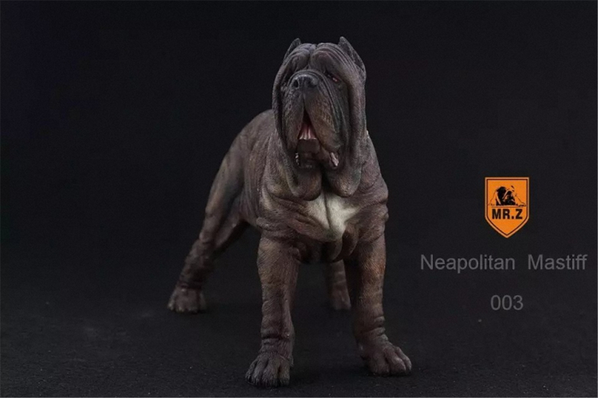 Mr.Z 1:6 Scale Neopolitan Mastiff Neapolitan Mastiff Pet Healing Figure Animal Model Toy Collector Decoration Kid Gift Mr.Z 1:6 Scale Neopolitan Mastiff Neapolitan Mastiff Pet Healing Figure Animal Model Toy Collector Decoration Kid Gift