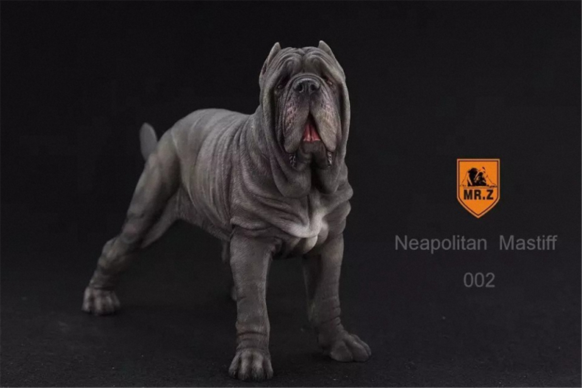 Mr.Z 1:6 Scale Neopolitan Mastiff Neapolitan Mastiff Pet Healing Figure Animal Model Toy Collector Decoration Kid Gift Mr.Z 1:6 Scale Neopolitan Mastiff Neapolitan Mastiff Pet Healing Figure Animal Model Toy Collector Decoration Kid Gift
