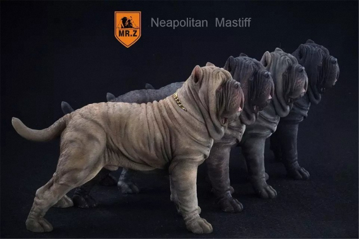 Mr.Z 1:6 Scale Neopolitan Mastiff Neapolitan Mastiff Pet Healing Figure Animal Model Toy Collector Decoration Kid Gift Mr.Z 1:6 Scale Neopolitan Mastiff Neapolitan Mastiff Pet Healing Figure Animal Model Toy Collector Decoration Kid Gift
