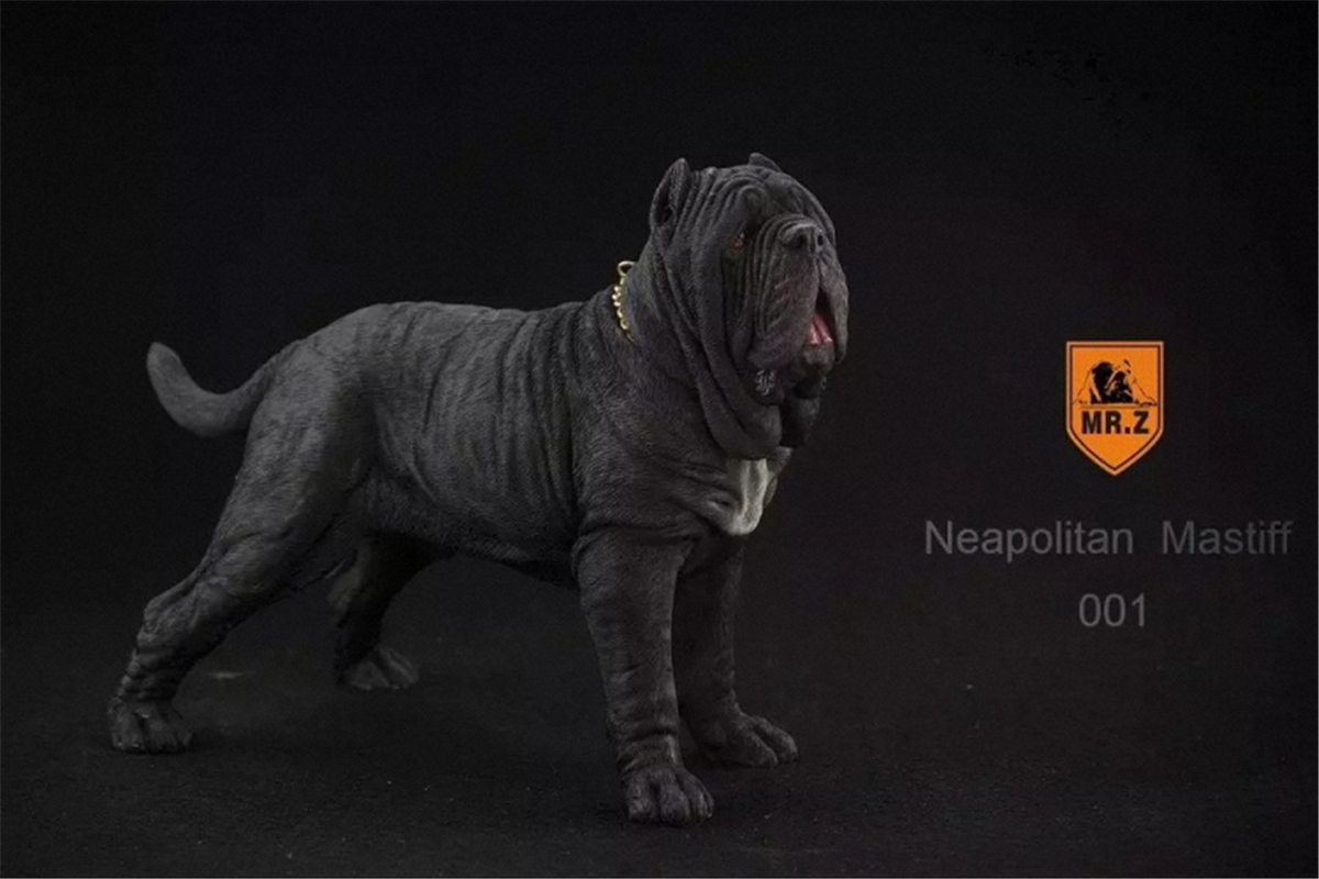 Mr.Z 1:6 Scale Neopolitan Mastiff Neapolitan Mastiff Pet Healing Figure Animal Model Toy Collector Decoration Kid Gift Mr.Z 1:6 Scale Neopolitan Mastiff Neapolitan Mastiff Pet Healing Figure Animal Model Toy Collector Decoration Kid Gift