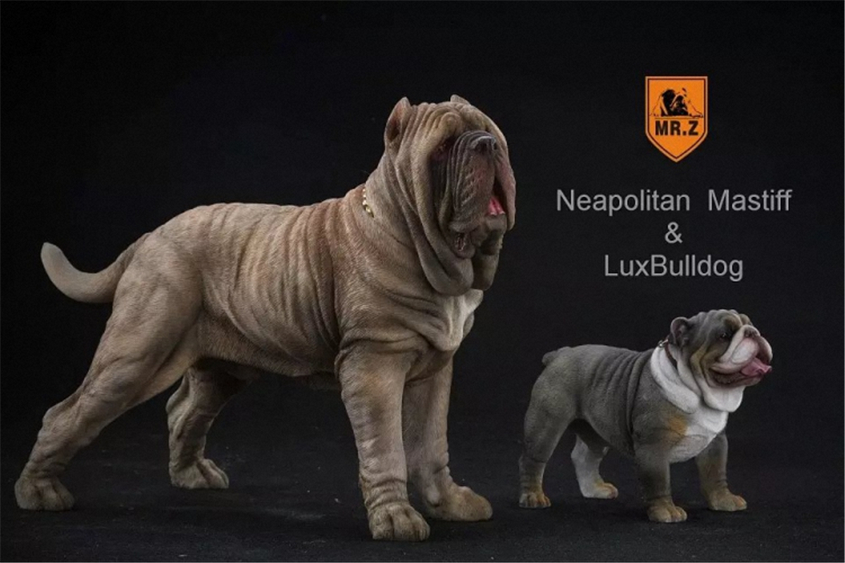 Mr.Z 1:6 Scale Neopolitan Mastiff Neapolitan Mastiff Pet Healing Figure Animal Model Toy Collector Decoration Kid Gift Mr.Z 1:6 Scale Neopolitan Mastiff Neapolitan Mastiff Pet Healing Figure Animal Model Toy Collector Decoration Kid Gift
