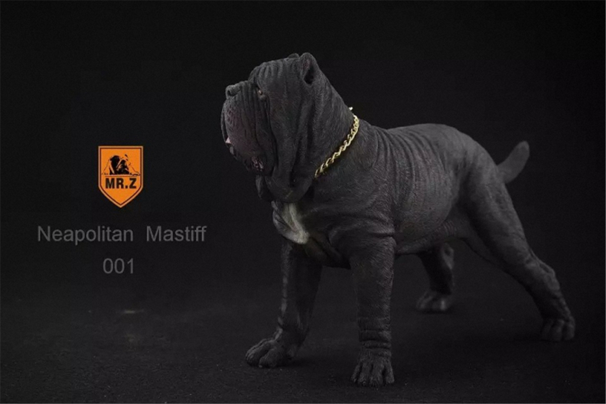 Mr.Z 1:6 Scale Neopolitan Mastiff Neapolitan Mastiff Pet Healing Figure Animal Model Toy Collector Decoration Kid Gift Mr.Z 1:6 Scale Neopolitan Mastiff Neapolitan Mastiff Pet Healing Figure Animal Model Toy Collector Decoration Kid Gift
