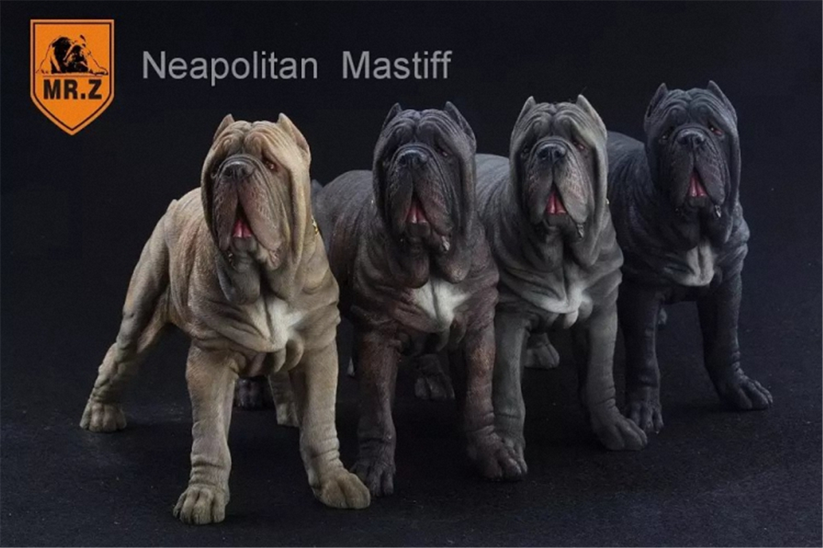 Mr.Z 1:6 Scale Neopolitan Mastiff Neapolitan Mastiff Pet Healing Figure Animal Model Toy Collector Decoration Kid Gift Mr.Z 1:6 Scale Neopolitan Mastiff Neapolitan Mastiff Pet Healing Figure Animal Model Toy Collector Decoration Kid Gift