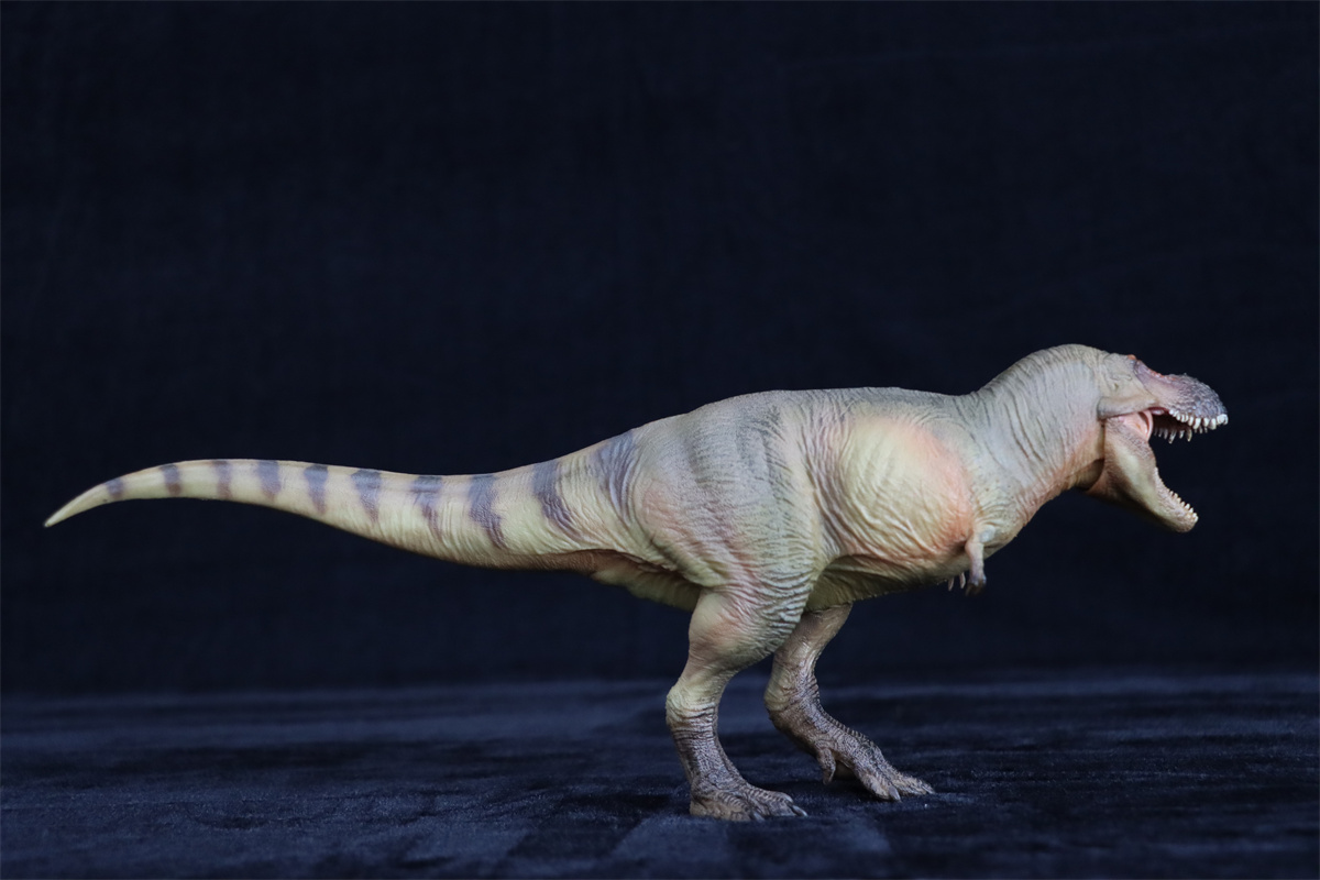 PNSO Zhuchengtyrannus magnus 58 Luxiong Figure T-Rex Dinosaur Collector Tyrannosaurus Prehistoric Animal Model Adult Kids Gift PNSO Zhuchengtyrannus magnus 58 Luxiong Figure T-Rex Dinosaur Collector Tyrannosaurus Prehistoric Animal Model Adult Kids Gift
