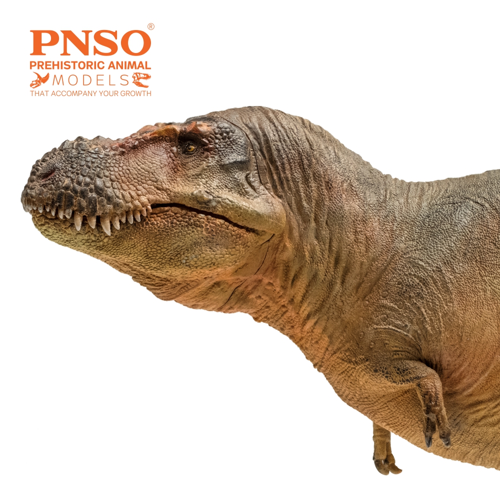 PNSO Zhuchengtyrannus magnus 58 Luxiong Figure T-Rex Dinosaur Collector Tyrannosaurus Prehistoric Animal Model Adult Kids Gift PNSO Zhuchengtyrannus magnus 58 Luxiong Figure T-Rex Dinosaur Collector Tyrannosaurus Prehistoric Animal Model Adult Kids Gift