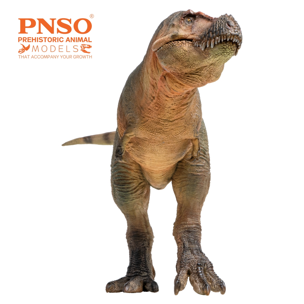 PNSO Zhuchengtyrannus magnus 58 Luxiong Figure T-Rex Dinosaur Collector Tyrannosaurus Prehistoric Animal Model Adult Kids Gift PNSO Zhuchengtyrannus magnus 58 Luxiong Figure T-Rex Dinosaur Collector Tyrannosaurus Prehistoric Animal Model Adult Kids Gift