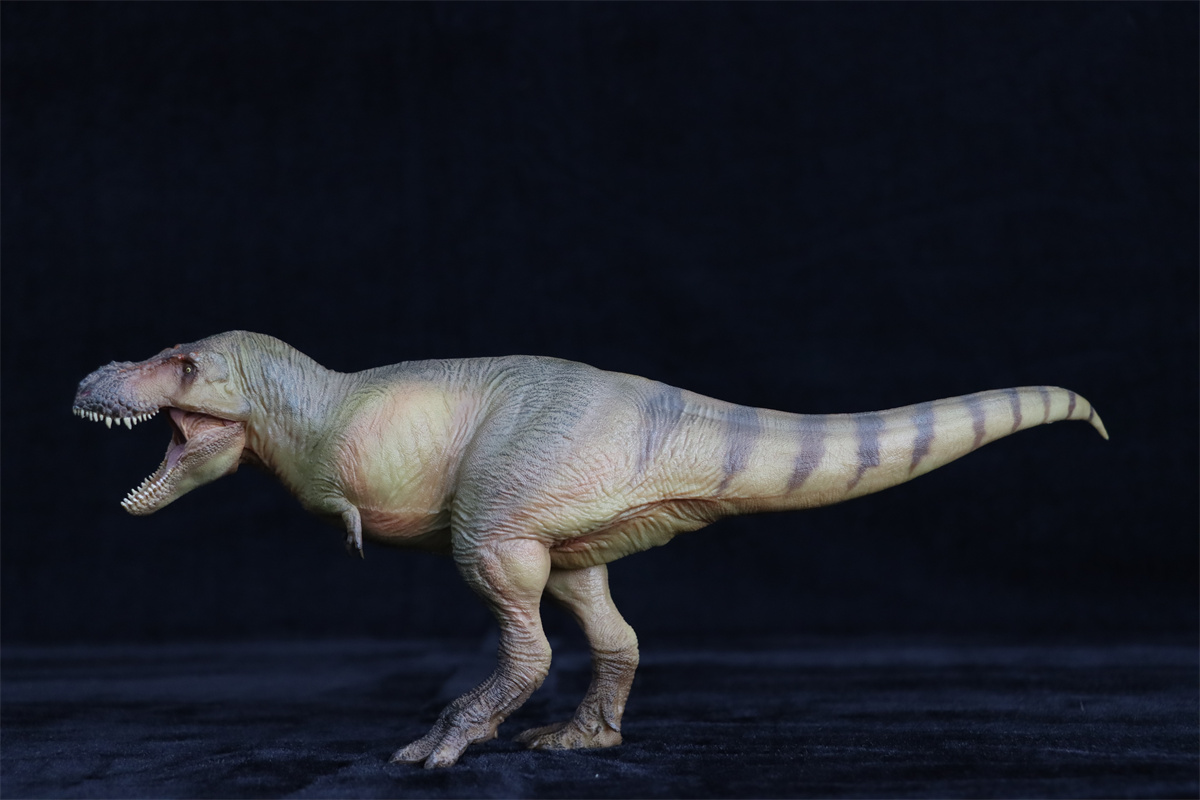 PNSO Zhuchengtyrannus magnus 58 Luxiong Figure T-Rex Dinosaur Collector Tyrannosaurus Prehistoric Animal Model Adult Kids Gift PNSO Zhuchengtyrannus magnus 58 Luxiong Figure T-Rex Dinosaur Collector Tyrannosaurus Prehistoric Animal Model Adult Kids Gift