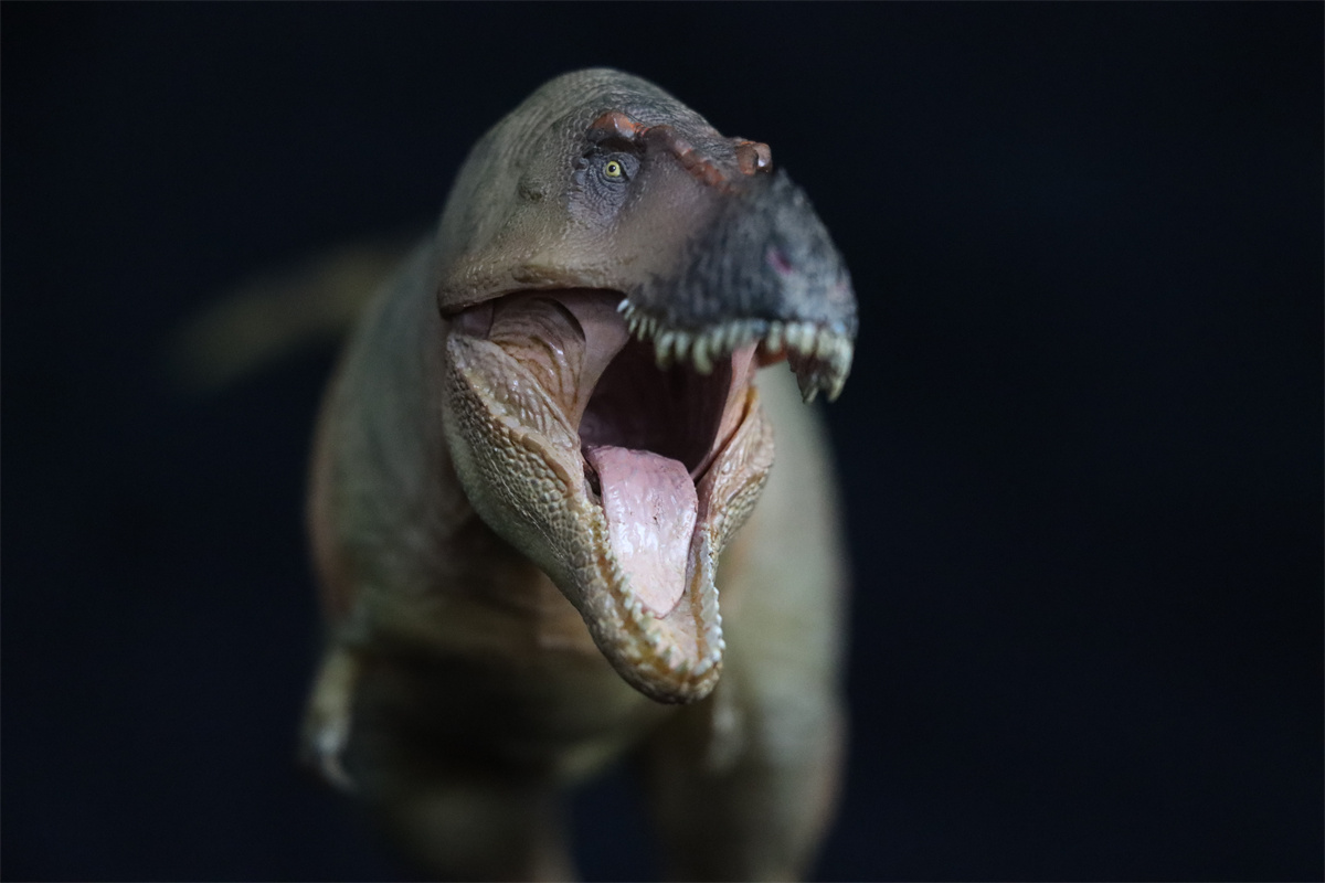 PNSO Zhuchengtyrannus magnus 58 Luxiong Figure T-Rex Dinosaur Collector Tyrannosaurus Prehistoric Animal Model Adult Kids Gift PNSO Zhuchengtyrannus magnus 58 Luxiong Figure T-Rex Dinosaur Collector Tyrannosaurus Prehistoric Animal Model Adult Kids Gift