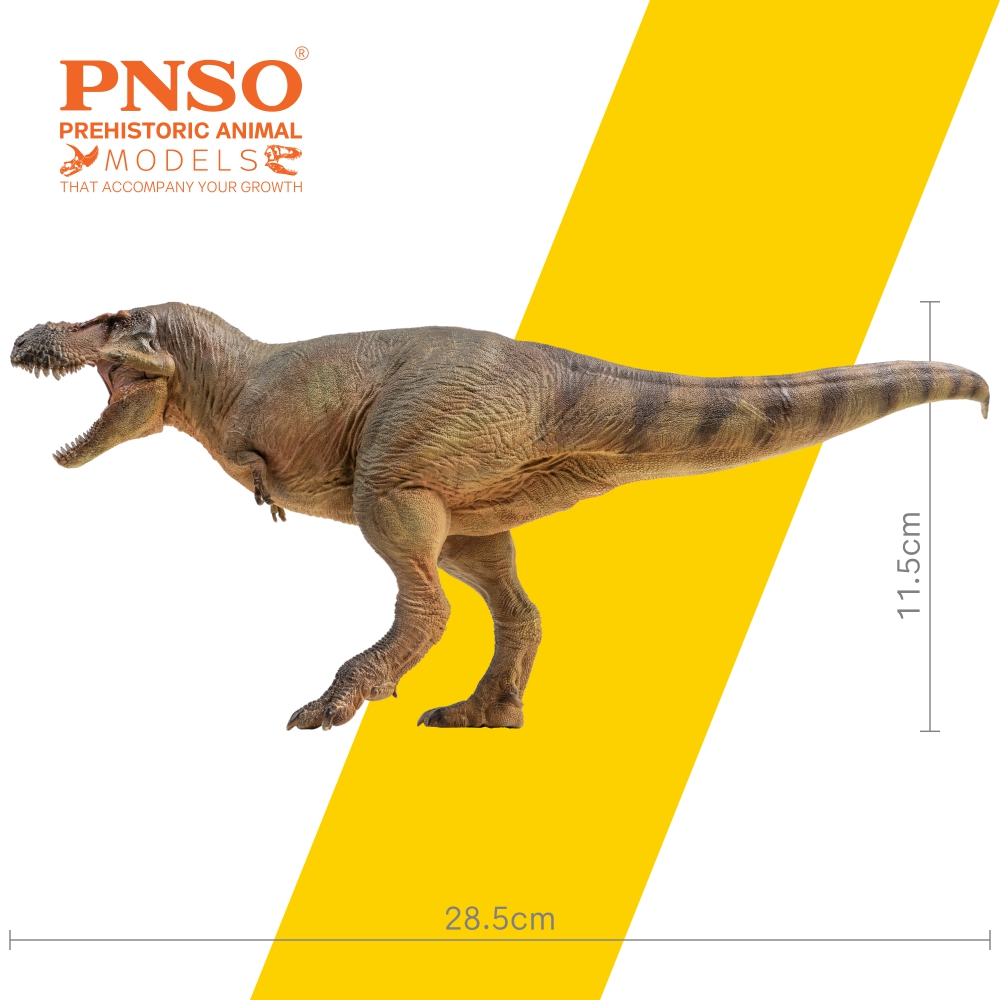 PNSO Zhuchengtyrannus magnus 58 Luxiong Figure T-Rex Dinosaur Collector Tyrannosaurus Prehistoric Animal Model Adult Kids Gift PNSO Zhuchengtyrannus magnus 58 Luxiong Figure T-Rex Dinosaur Collector Tyrannosaurus Prehistoric Animal Model Adult Kids Gift