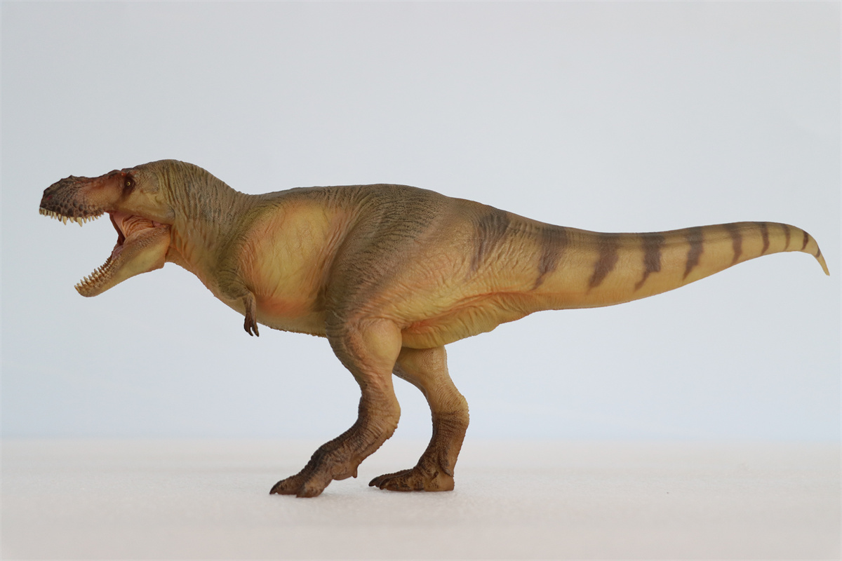 PNSO Zhuchengtyrannus magnus 58 Luxiong Figure T-Rex Dinosaur Collector Tyrannosaurus Prehistoric Animal Model Adult Kids Gift PNSO Zhuchengtyrannus magnus 58 Luxiong Figure T-Rex Dinosaur Collector Tyrannosaurus Prehistoric Animal Model Adult Kids Gift