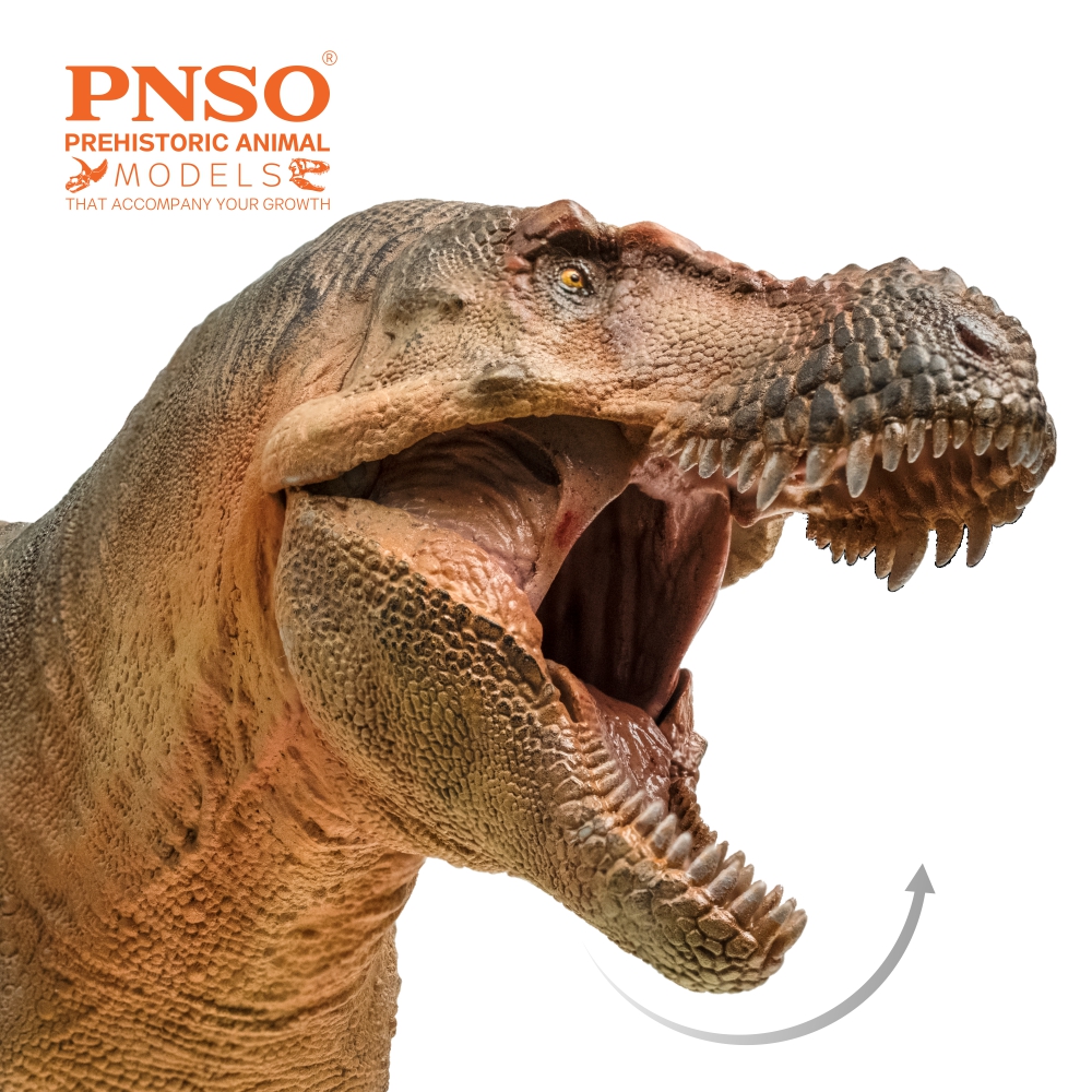 PNSO Zhuchengtyrannus magnus 58 Luxiong Figure T-Rex Dinosaur Collector Tyrannosaurus Prehistoric Animal Model Adult Kids Gift PNSO Zhuchengtyrannus magnus 58 Luxiong Figure T-Rex Dinosaur Collector Tyrannosaurus Prehistoric Animal Model Adult Kids Gift