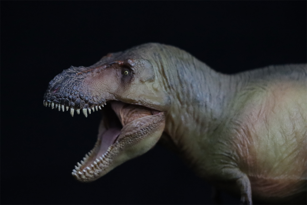 PNSO Zhuchengtyrannus magnus 58 Luxiong Figure T-Rex Dinosaur Collector Tyrannosaurus Prehistoric Animal Model Adult Kids Gift PNSO Zhuchengtyrannus magnus 58 Luxiong Figure T-Rex Dinosaur Collector Tyrannosaurus Prehistoric Animal Model Adult Kids Gift