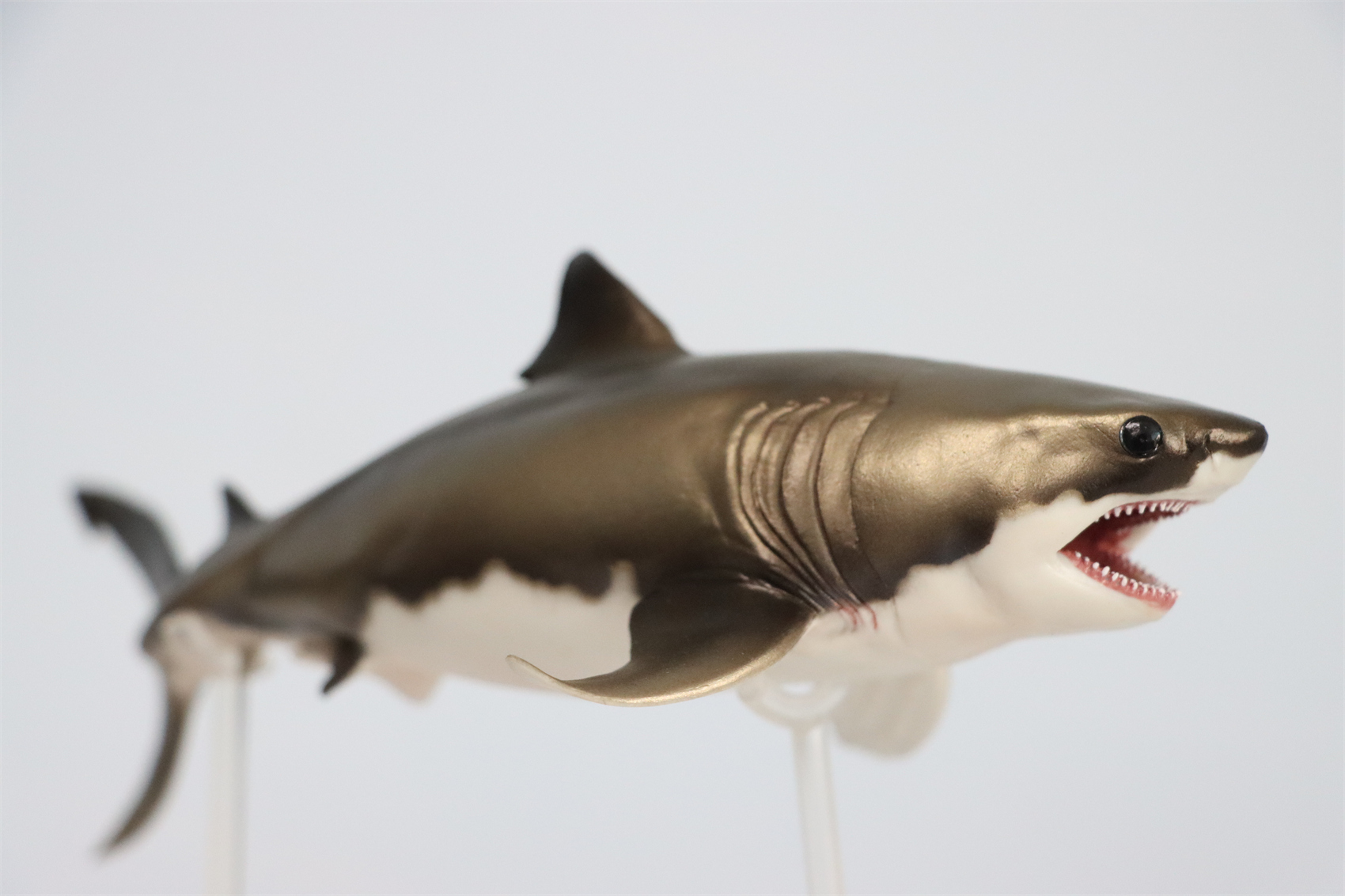 PNSO Prehistoric Dinosaur Model 54 Aidan The Cretoxyrhina Model Collector Science Education Mackerel Shark Animal Toys