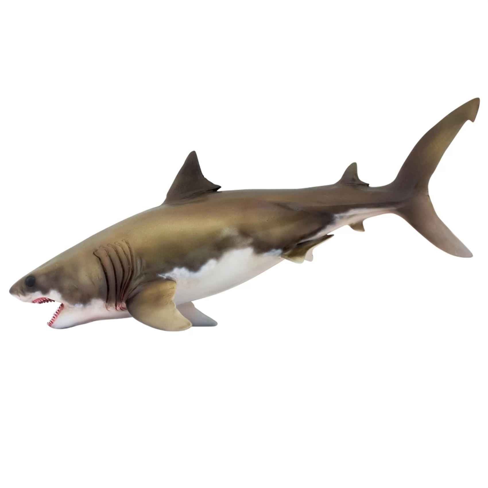 PNSO Prehistoric Dinosaur Model 54 Aidan The Cretoxyrhina Model Collector Science Education Mackerel Shark Animal Toys