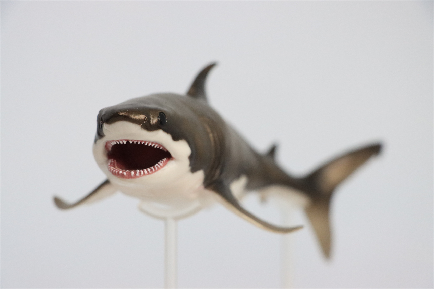 PNSO Prehistoric Dinosaur Model 54 Aidan The Cretoxyrhina Model Collector Science Education Mackerel Shark Animal Toys