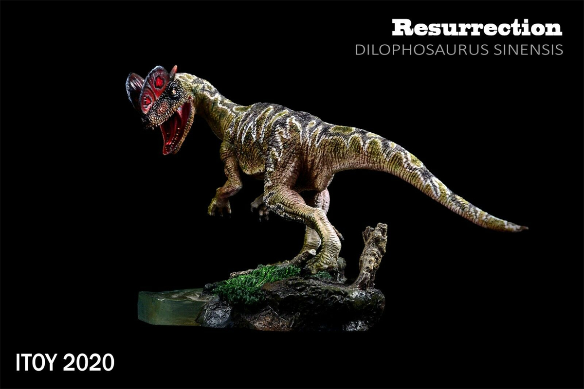 IN STOCK ITOY Dilophosaurus Statue Coelophysoidea Dinosaur Figure Animal Unisex Adults Kid Gift Toy Collector Decor Souvenir