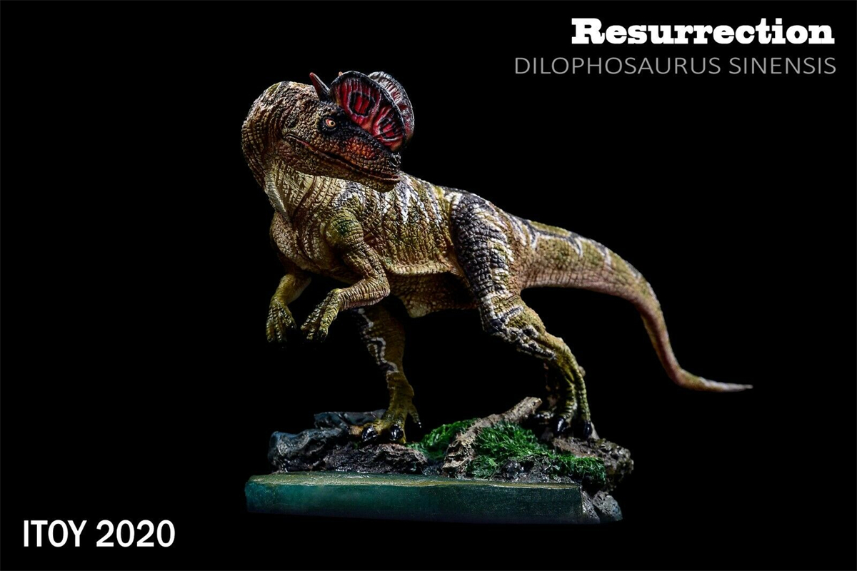 IN STOCK ITOY Dilophosaurus Statue Coelophysoidea Dinosaur Figure Animal Unisex Adults Kid Gift Toy Collector Decor Souvenir