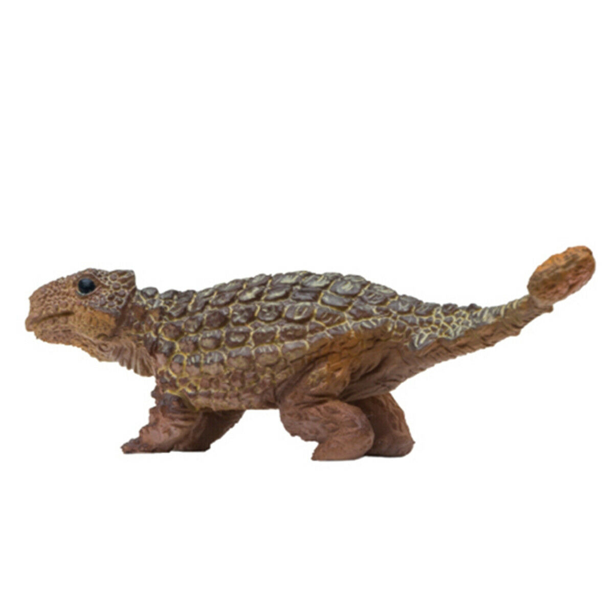 PNSO Ankylosaurus Proceratosaurus Olorotitan Tuojiangosaurus ...