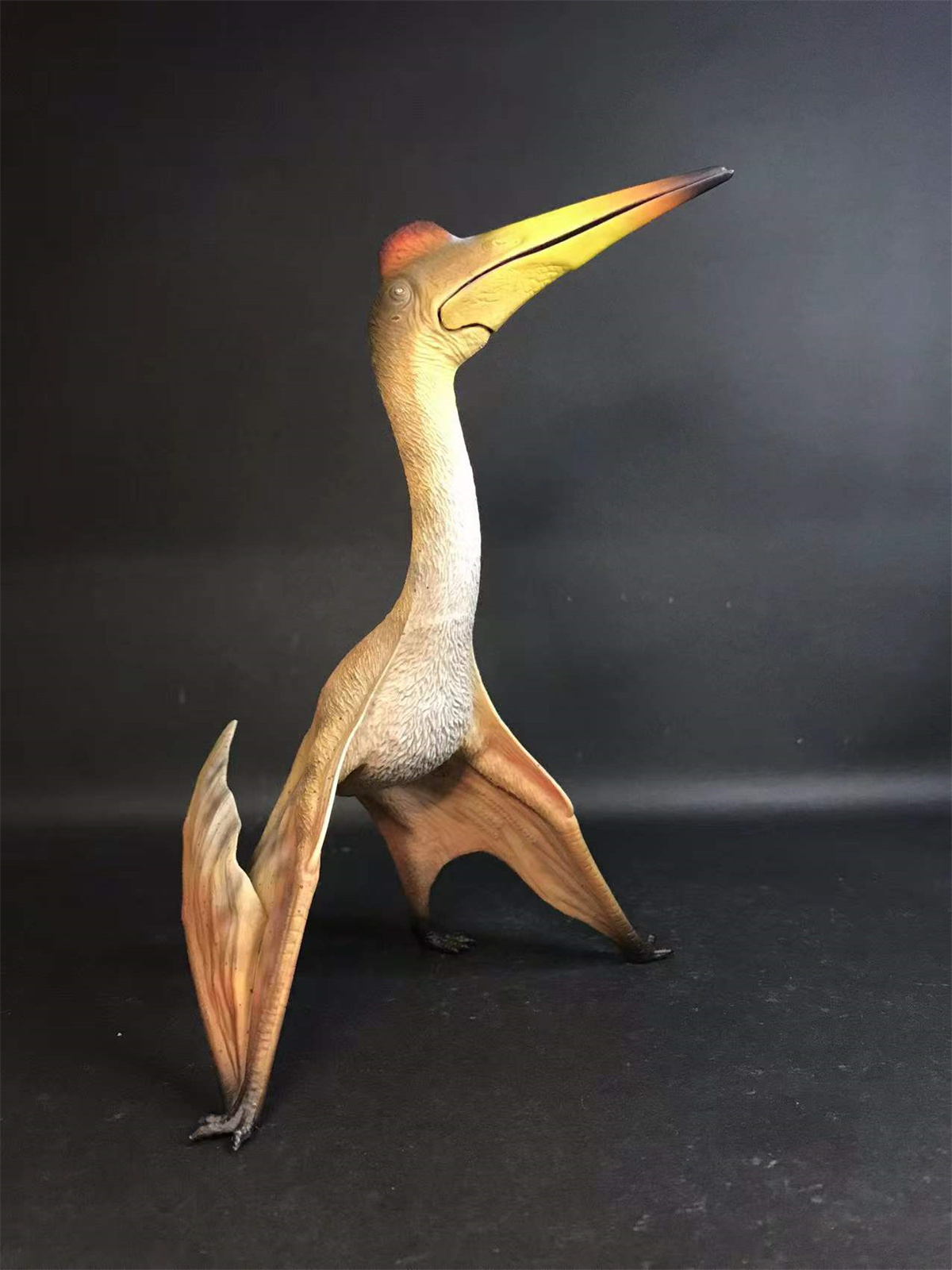 GR x HAOLONGGOOD 1:35 Scale Quetzalcoatlus Model Pterosauria Dinosaur Collector GK Decoration Gift for Toy Educational Animal GR x HAOLONGGOOD 1:35 Scale Quetzalcoatlus Model Pterosauria Dinosaur Collector GK Decoration Gift for Toy Educational Animal