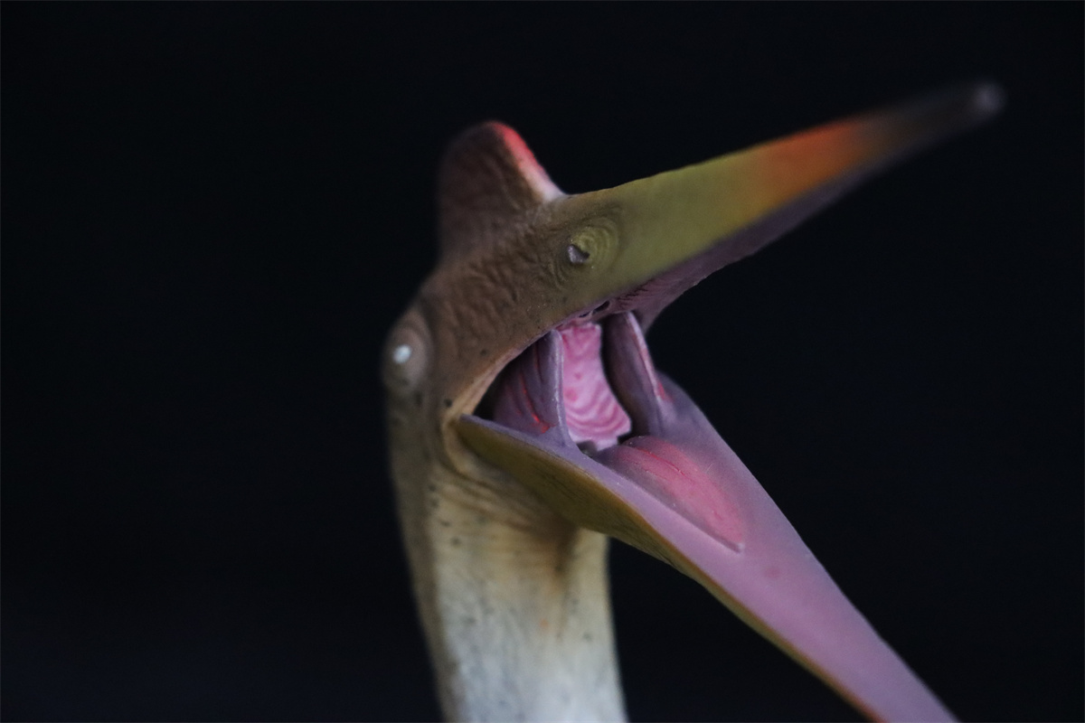 GR x HAOLONGGOOD 1:35 Scale Quetzalcoatlus Model Pterosauria Dinosaur Collector GK Decoration Gift for Toy Educational Animal GR x HAOLONGGOOD 1:35 Scale Quetzalcoatlus Model Pterosauria Dinosaur Collector GK Decoration Gift for Toy Educational Animal