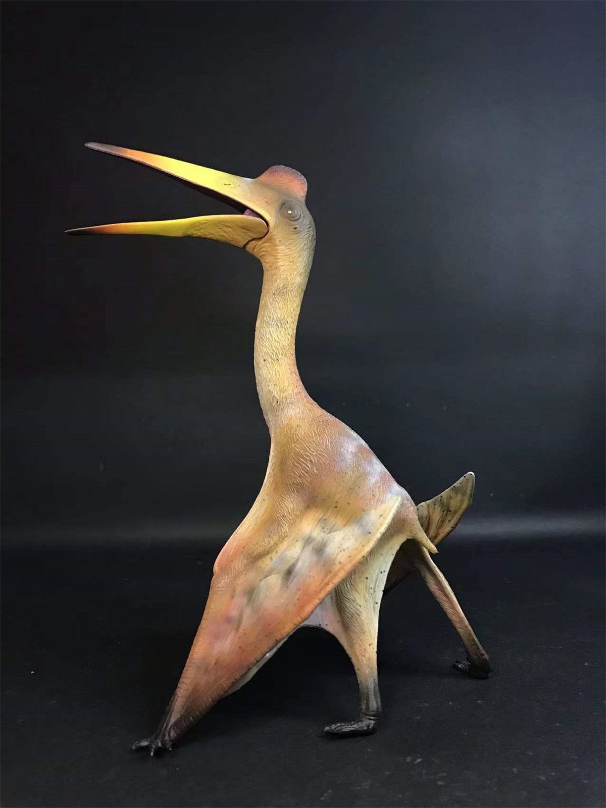 GR x HAOLONGGOOD 1:35 Scale Quetzalcoatlus Model Pterosauria Dinosaur Collector GK Decoration Gift for Toy Educational Animal GR x HAOLONGGOOD 1:35 Scale Quetzalcoatlus Model Pterosauria Dinosaur Collector GK Decoration Gift for Toy Educational Animal
