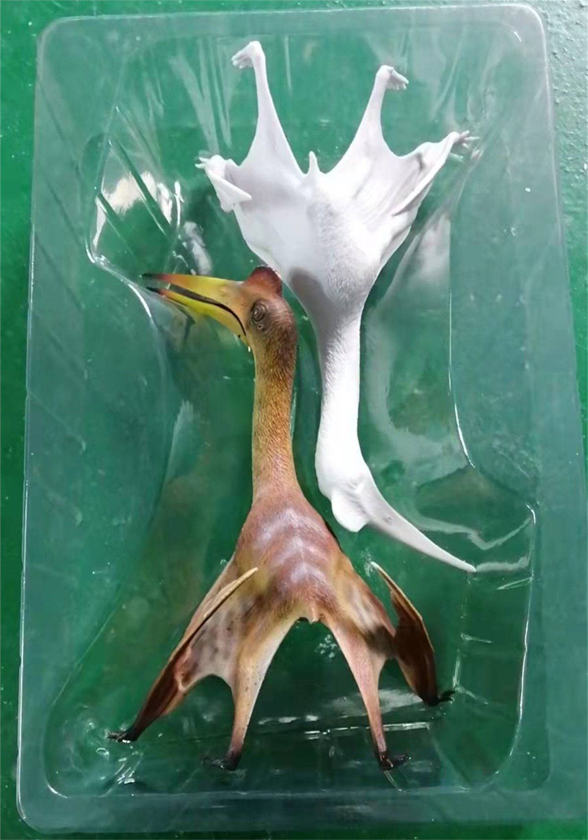 GR x HAOLONGGOOD 1:35 Scale Quetzalcoatlus Model Pterosauria Dinosaur Collector GK Decoration Gift for Toy Educational Animal GR x HAOLONGGOOD 1:35 Scale Quetzalcoatlus Model Pterosauria Dinosaur Collector GK Decoration Gift for Toy Educational Animal