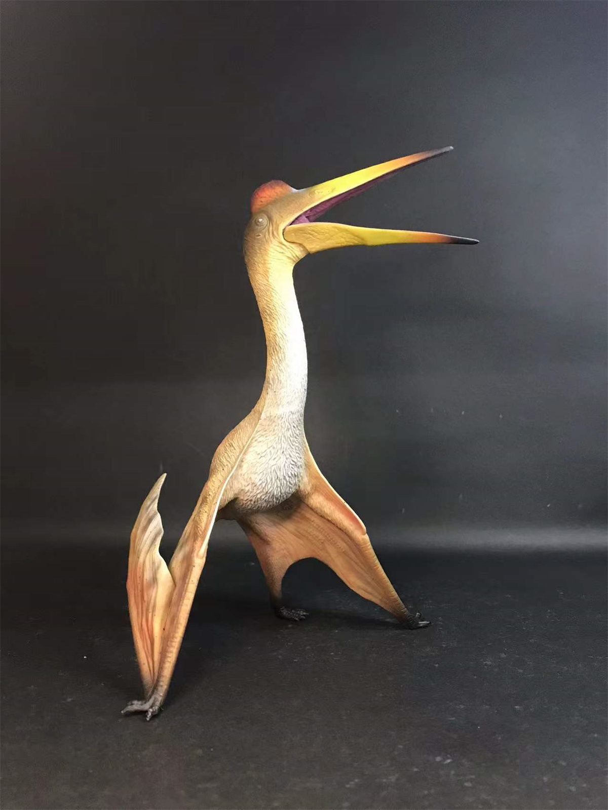 GR x HAOLONGGOOD 1:35 Scale Quetzalcoatlus Model Pterosauria Dinosaur Collector GK Decoration Gift for Toy Educational Animal GR x HAOLONGGOOD 1:35 Scale Quetzalcoatlus Model Pterosauria Dinosaur Collector GK Decoration Gift for Toy Educational Animal