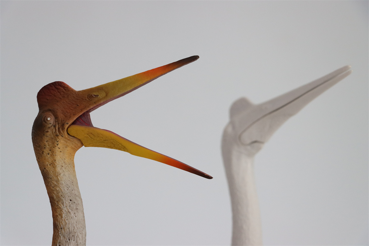 GR x HAOLONGGOOD 1:35 Scale Quetzalcoatlus Model Pterosauria Dinosaur Collector GK Decoration Gift for Toy Educational Animal GR x HAOLONGGOOD 1:35 Scale Quetzalcoatlus Model Pterosauria Dinosaur Collector GK Decoration Gift for Toy Educational Animal
