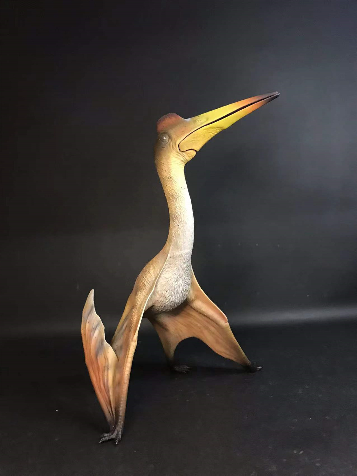 GR x HAOLONGGOOD 1:35 Scale Quetzalcoatlus Model Pterosauria Dinosaur Collector GK Decoration Gift for Toy Educational Animal GR x HAOLONGGOOD 1:35 Scale Quetzalcoatlus Model Pterosauria Dinosaur Collector GK Decoration Gift for Toy Educational Animal