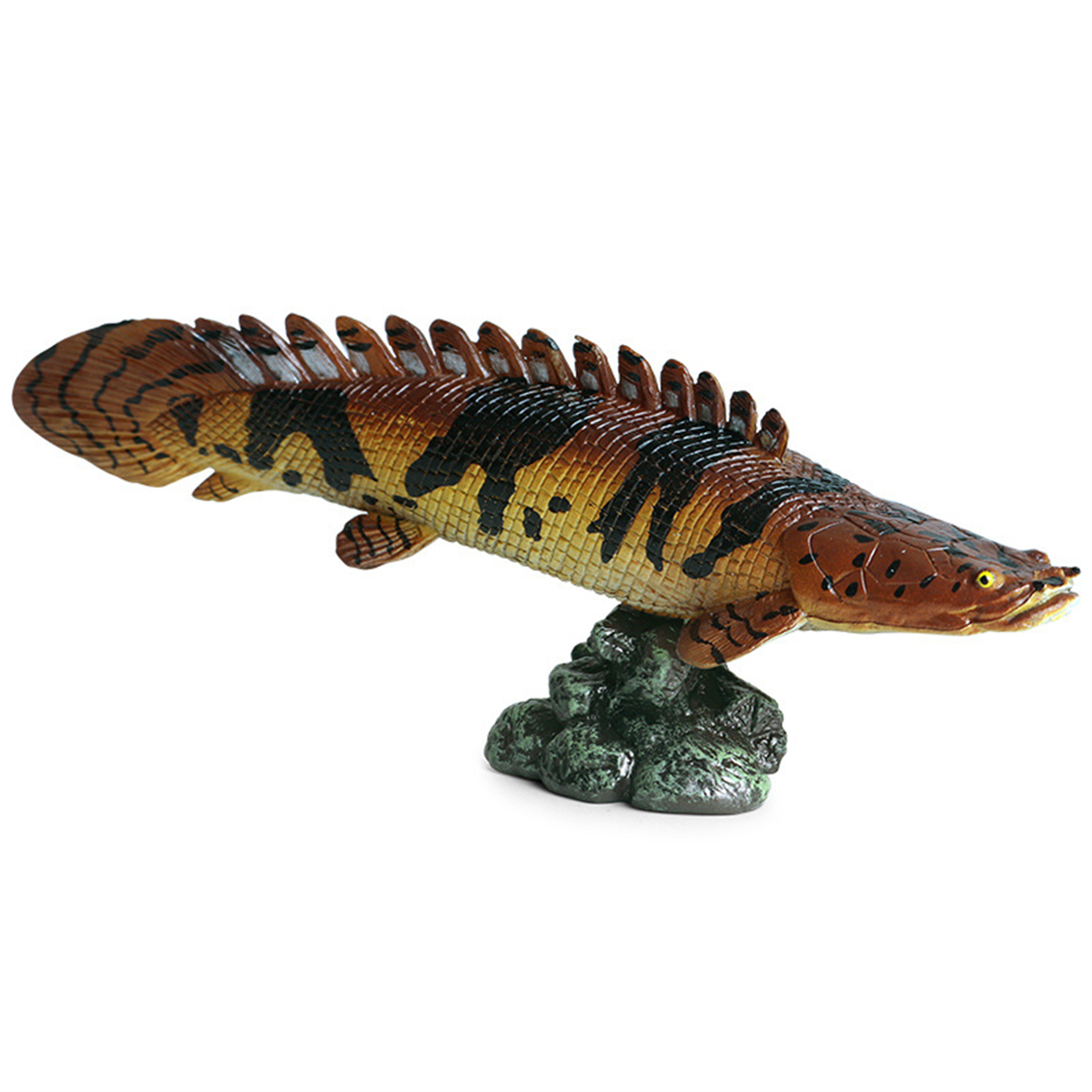 3Pcs Wild Fish Animal Figure Polypterus delhezi Arapaima gigas Pirarucu Alligator Gar Atractosteus Spatula Educational Model Toy