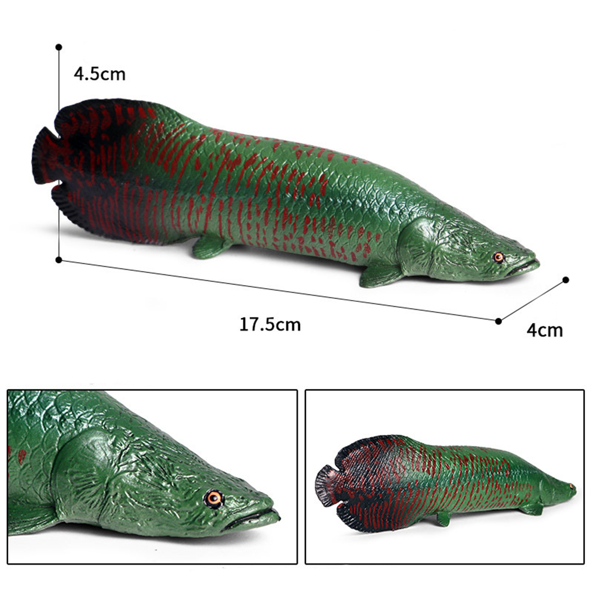 3Pcs Wild Fish Animal Figure Polypterus delhezi Arapaima gigas Pirarucu Alligator Gar Atractosteus Spatula Educational Model Toy