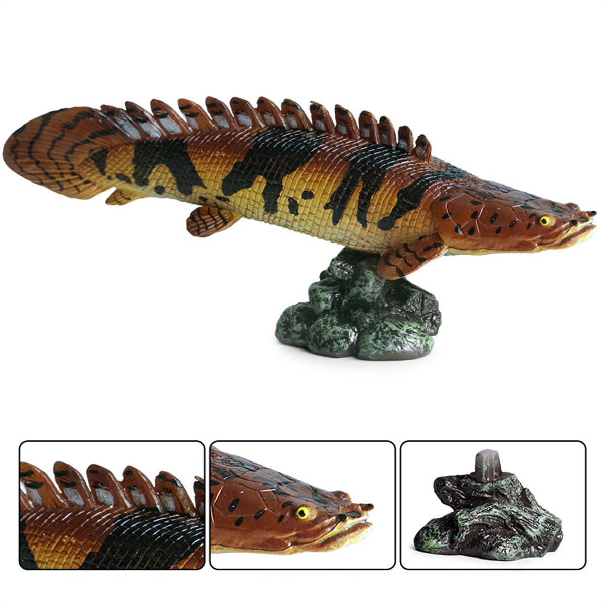 3Pcs Wild Fish Animal Figure Polypterus delhezi Arapaima gigas Pirarucu Alligator Gar Atractosteus Spatula Educational Model Toy
