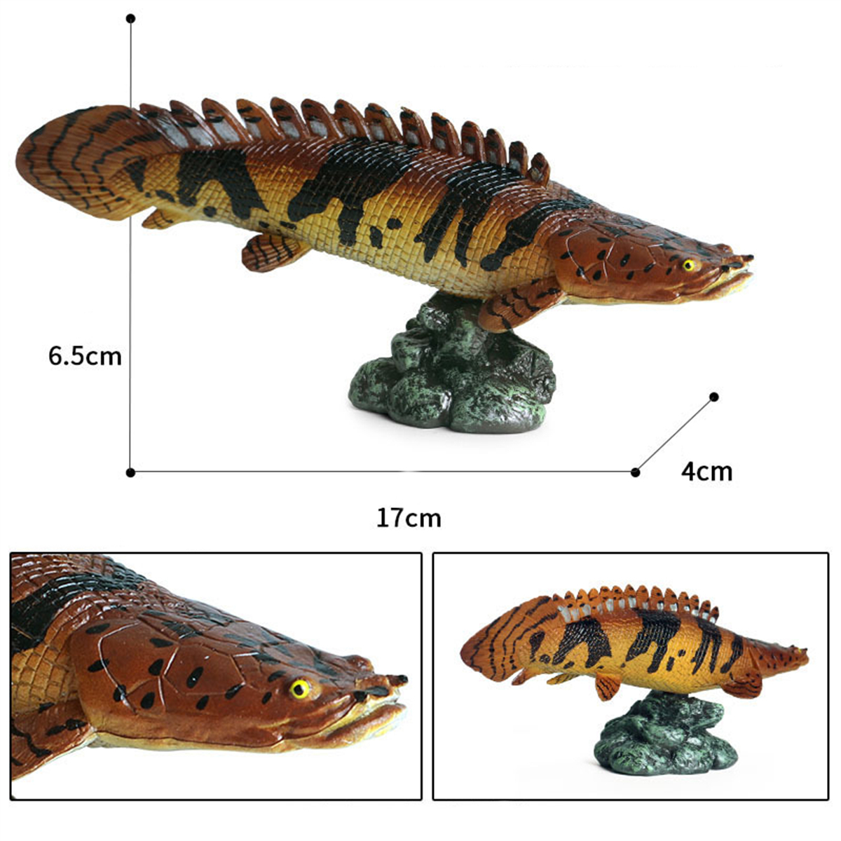 3Pcs Wild Fish Animal Figure Polypterus delhezi Arapaima gigas Pirarucu Alligator Gar Atractosteus Spatula Educational Model Toy