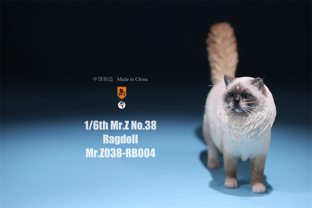 Mr.Z Studio 1:6 Ragdoll Figure Cute Cat Pet Animal Model Resin Collector Decoration Toy Decoration Ornaments Birthday Gift Doll