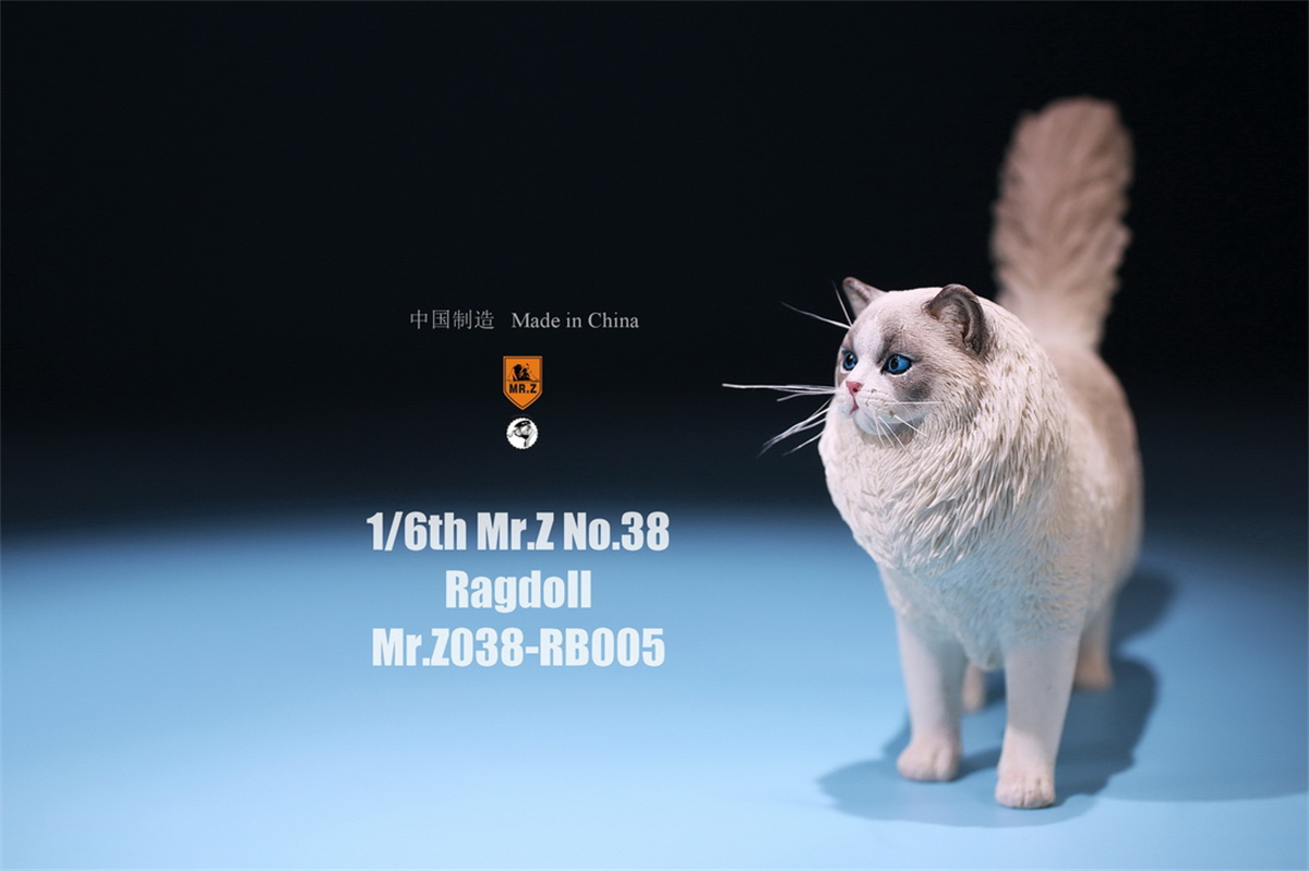 Mr.Z Studio 1:6 Ragdoll Figure Cute Cat Pet Animal Model Resin Collector Decoration Toy Decoration Ornaments Birthday Gift Doll